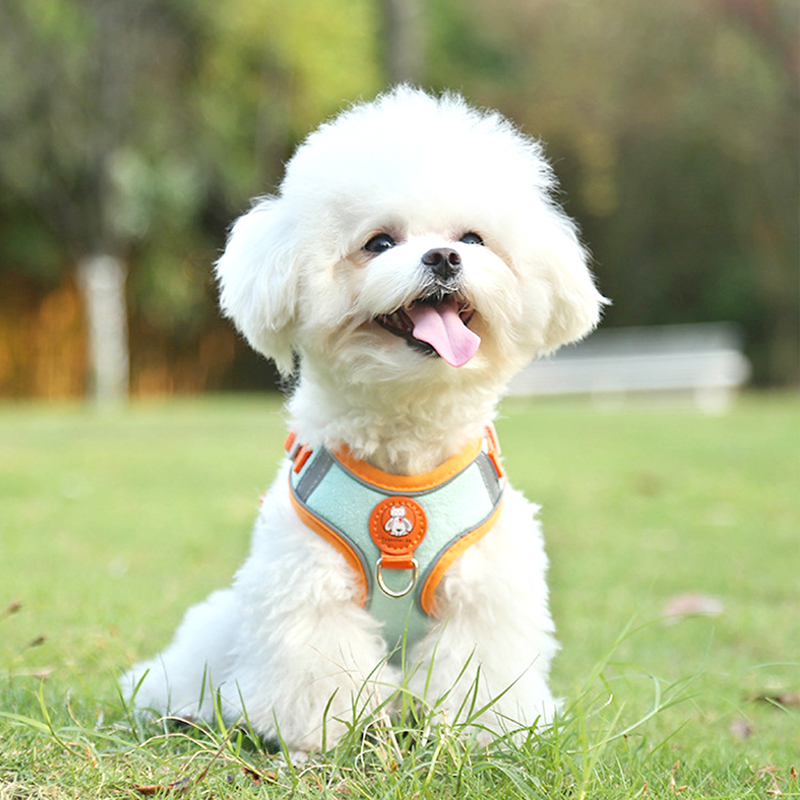 狗牵引绳胸背带防挣脱泰迪比熊柯基法斗哈士奇小中大型反光遛狗绳