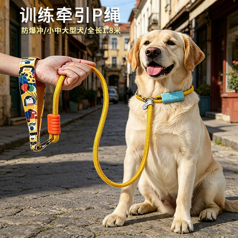 训犬P绳防爆冲遛狗牵引绳图片