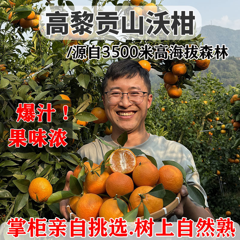 生态放心吃云南高山沃柑味浓多汁