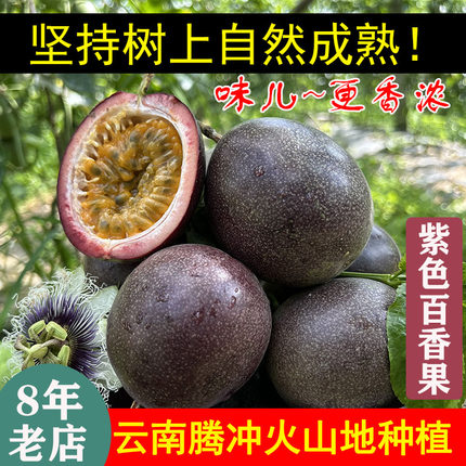 树上熟云南腾冲火山地百香果新鲜水果孕妇西番莲紫皮大果酸甜口味