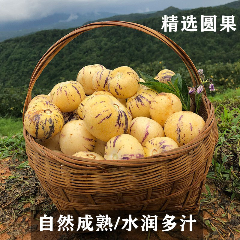 树上熟爆汁香甜人参果黄肉圆果