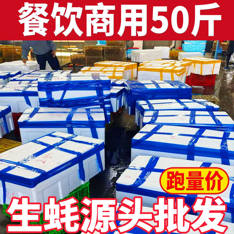 鲜活山东生蚝批发100/50斤