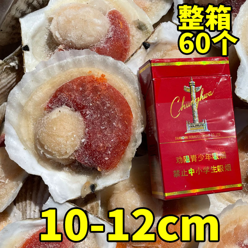 60粒超大半壳冷冻扇贝鲜活夏夷贝新鲜蒜蓉粉丝烧烤海鲜扇贝肉商用