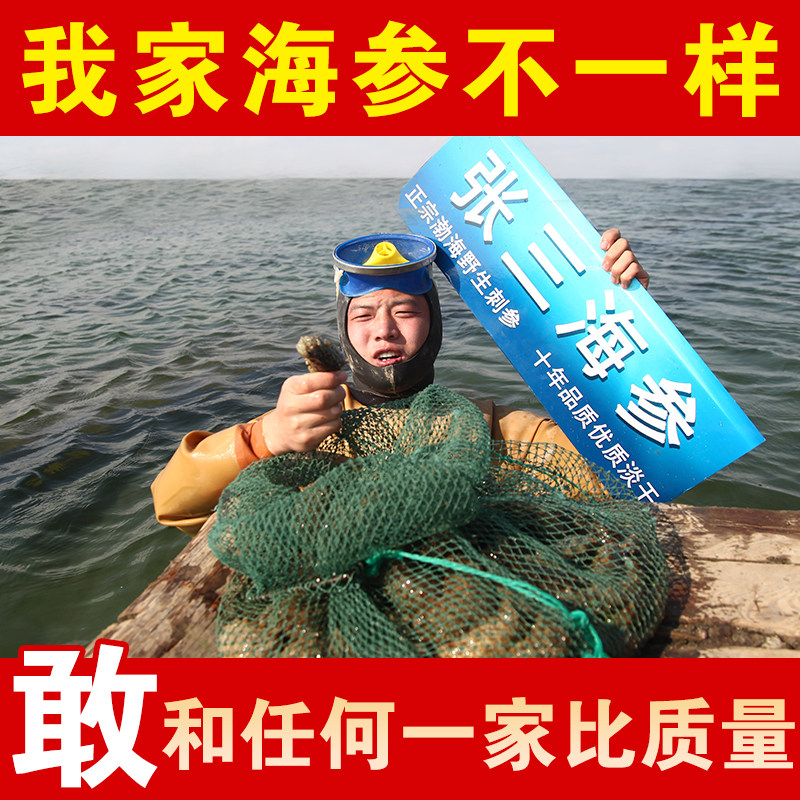 张三 淡干海参干货50g 国标野生海参礼盒  大连长岛辽刺参