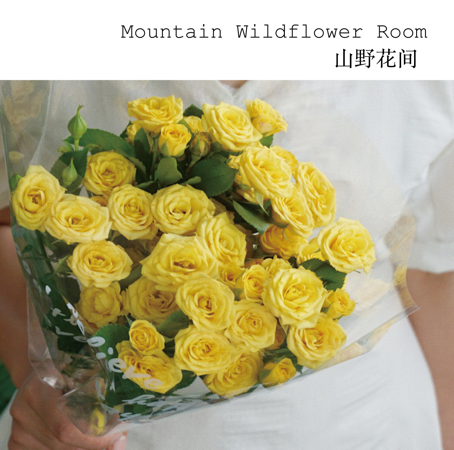 山野花间丨柠檬泡泡多头玫瑰黄色鲜花奶油黄摄影云南基地空运直发