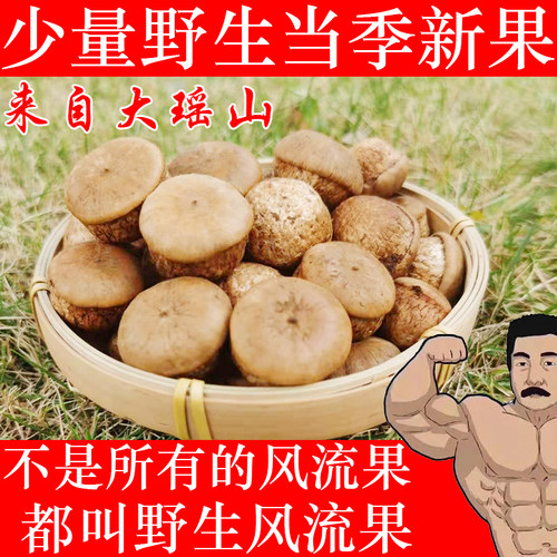 广西野生风流果文玩新鲜滋补特级