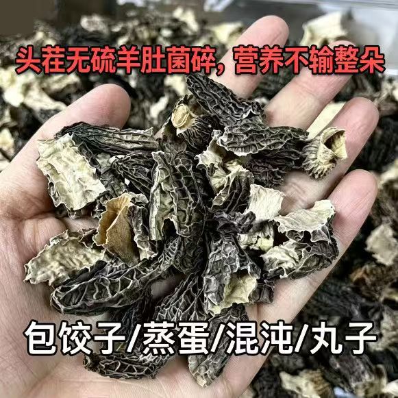西藏野生羊肚菌碎片干货特级羊肚菇碎片正品羊肚茵碎片羊肚蘑碎片