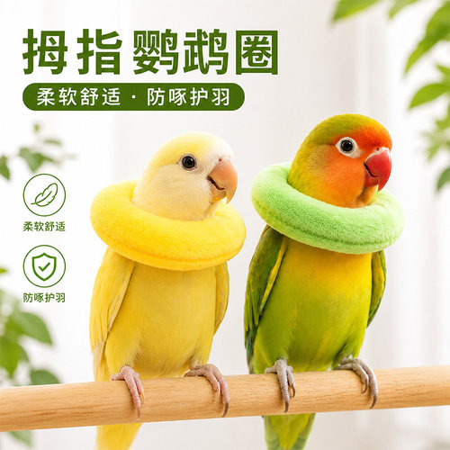 新款鹦鹉伊丽莎白圈防啄护毛项圈
