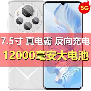 寸曲屏大屏安卓手机512G OTG 存储5G 反向充 王者畅玩 全网通 7.5