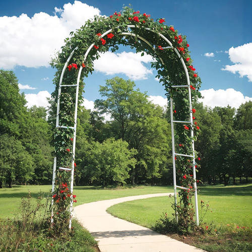 拱形植物花卉爬藤架拱门