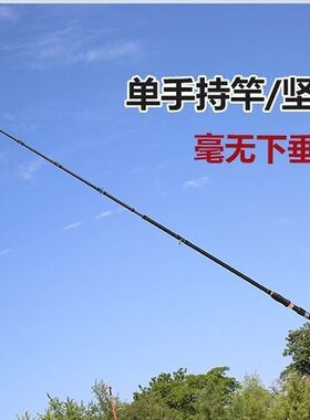 正品雷强竿超轻打黑鱼竿xxH超硬重雷杆xh专业锚杆路亚竿单杆套装