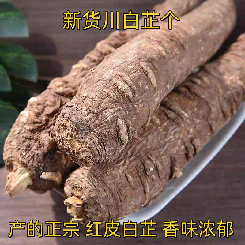 精选川白芷整根大个干货香料正宗图片