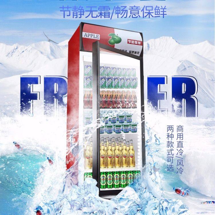 饮料柜保鲜冷藏展示单门双门商用超市冰箱立式冷柜小型冰柜大容量|ruв категории кухонные приборы, коммерческих кухня электричество, витрина - от Buy2taobao.com для оказания профессиональной услуги покупки агента Taobao