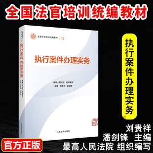 正版2025新书 执行案件办理实务 最高人民法院组织编写 平装版 全国法官培训统编教材 人民法院出版社9787510945632