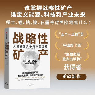 战略性矿产：大国资源竞争与中国方略 杨丹辉刘刚著稀土锂钴石墨等矿产的重要应用对我国经济、科技和综合国力的提升与发展