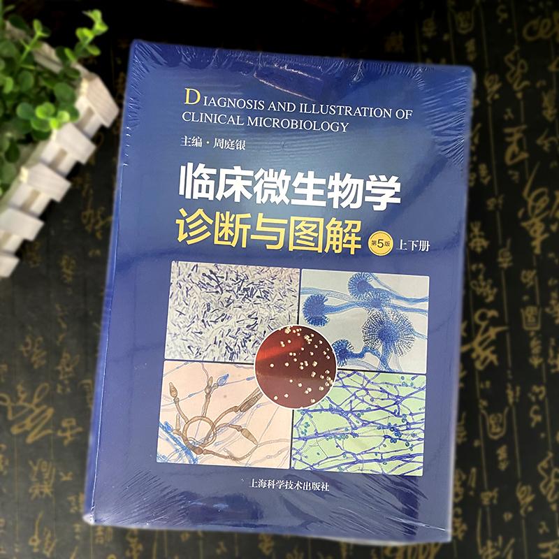 【2025新版】临床微生物学诊断与图解 第5版 精装彩图版 上下册 周庭银 细菌真菌鉴定研究 上海科学技术出版社9787547871850