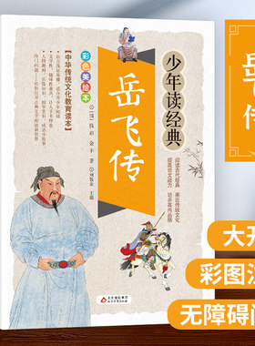 满江红岳飞传精忠报国青少年