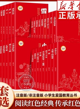 【正版】儿童红色经典读物彩色插图版 奇怪的地方风雷闪闪的红星雷锋故事淮河边上的儿女沂蒙山的故事中小学生爱国教育英雄故事