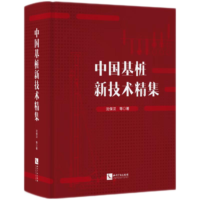 正版2024新书中国基桩新技术精集沈保汉知识产权出版社9787513088695-封面
