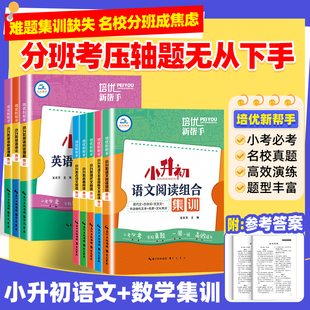 小升初语文阅读英语语法集训培优新帮手小学生英语阅读理解完形填空语法专项强化训练名著小古文小学升初中名校真题总复习练习题册