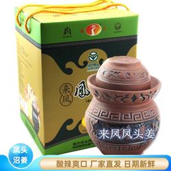 包邮湖北省恩施特产正宗来凤凤头姜嫩姜开胃下饭泡菜多种规格可选