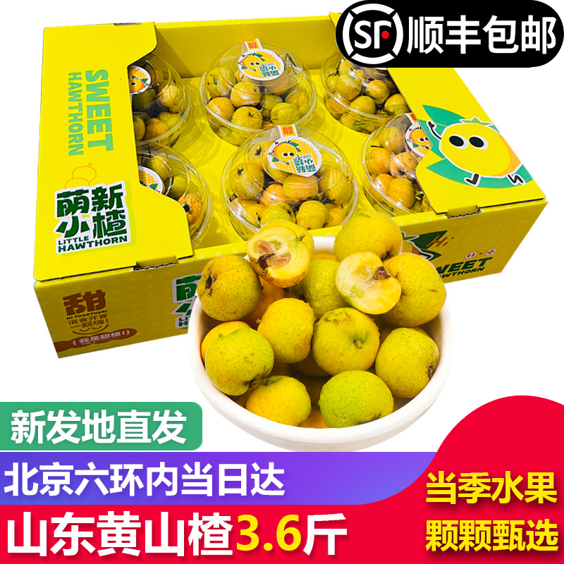 【顺丰包邮】黄山楂鲜果小黄丸糖葫芦当季水果甜黄山楂新鲜礼盒装