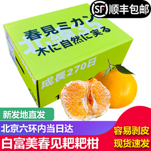 【顺丰包邮】白富美春见耙耙柑7斤礼盒日本静冈种源新鲜水果丑柑