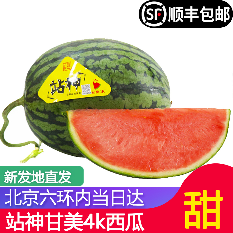 【顺丰包邮】站神甘美4k西瓜1个整箱 新鲜脆甜薄皮无籽大西瓜水果