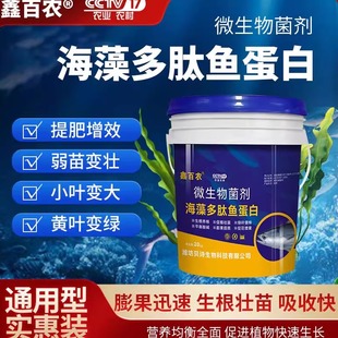 甲壳素海藻多肽鱼蛋白水溶肥生根壮苗膨果黄腐酸钾氨基酸冲施桶肥