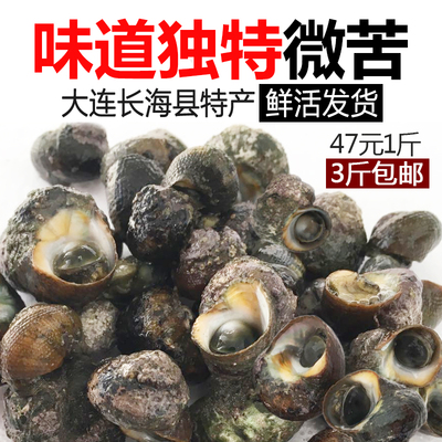 大连海螺鲜活新鲜鲜活海鲜水产