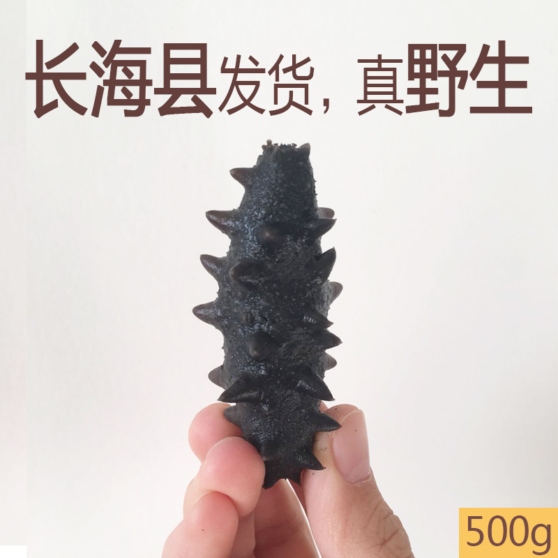 大火侯拉缸盐渍海参大连特产长海县野生半干海参非即食辽刺参500g