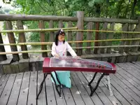 Chuhuang nhà máy sản xuất nhạc cụ bán hàng trực tiếp 125cm Dương Châu giảng dạy Lan Kao Tongmu gỗ rắn guzheng mới bắt đầu nhập - Nhạc cụ dân tộc sáo huân