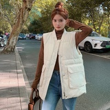 档口现货宽松休闲气质立领时尚防寒羽绒服马甲女8806P125控198，女装羽绒服，浙宝218