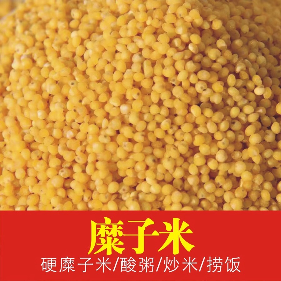 2025年新糜子米硬黄米稷子米酸捞饭炒米酸粥料羊粪自留种