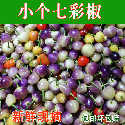 小七彩椒广西特产小五色椒泡椒彩虹椒小灯笼椒新鲜五彩椒小果包邮