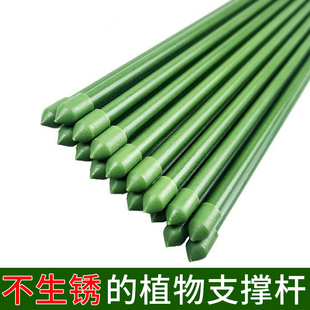 植物支架爬藤架花架金钱树支撑杆月季玻纤棍子支柱架子辣椒固定杆