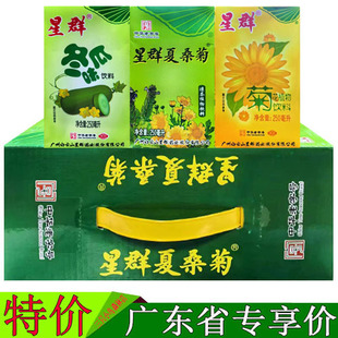 星群夏桑菊凉茶植物饮料250ml/16盒整箱装含金银花仙草罗汉果饮品