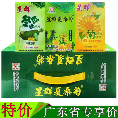 星群夏桑菊凉茶植物饮料整箱装