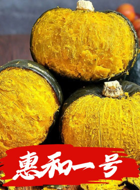 【惠和一号贝贝南瓜】糖化已完成甜糯口感板栗味宝宝辅食吊瓜
