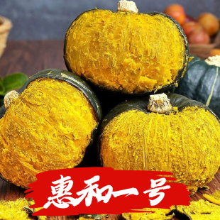 【惠和一号贝贝南瓜】包粉包糯板栗味宝宝辅食吊瓜