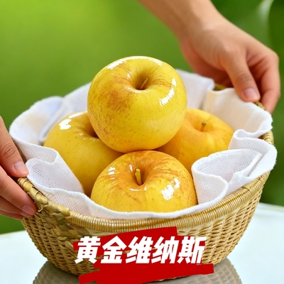 山东黄金维纳斯苹果正宗纯甜无酸