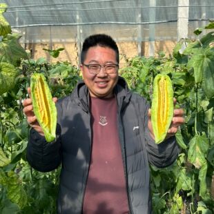 【顺丰/京东】2026年山东头茬羊角蜜新鲜当季水果现摘现发4.5斤