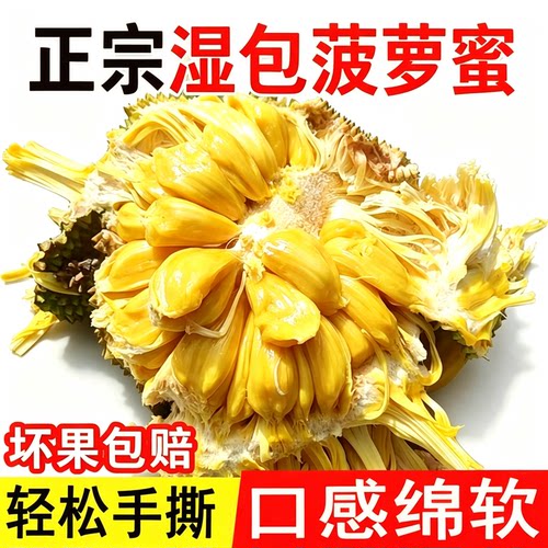 正宗徐闻湿包菠萝蜜当季现摘包邮