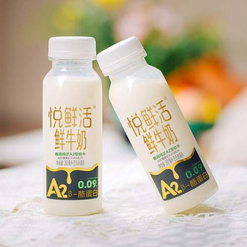 悦鲜活A2β酪蛋白鲜牛奶顺丰冷运