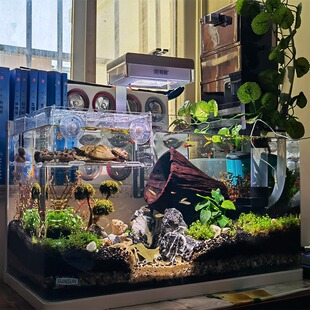 鱼缸底滤板网格板水草缸沙隔板过滤板底部垫高底砂垫板