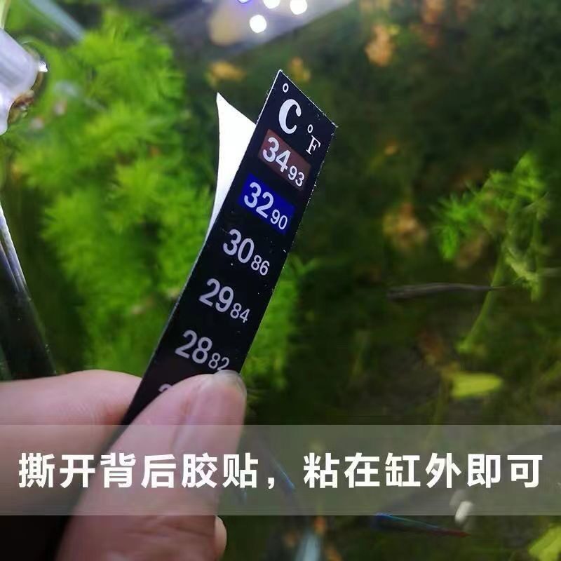 变色感应水温计贴鱼龟草缸