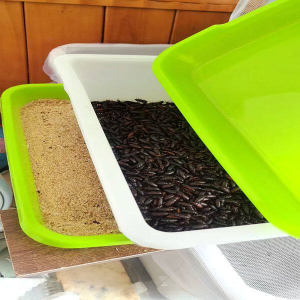 面包虫养殖盒粪便过滤盒产卵繁殖盒粪便分离筛黄粉虫专用养殖盒
