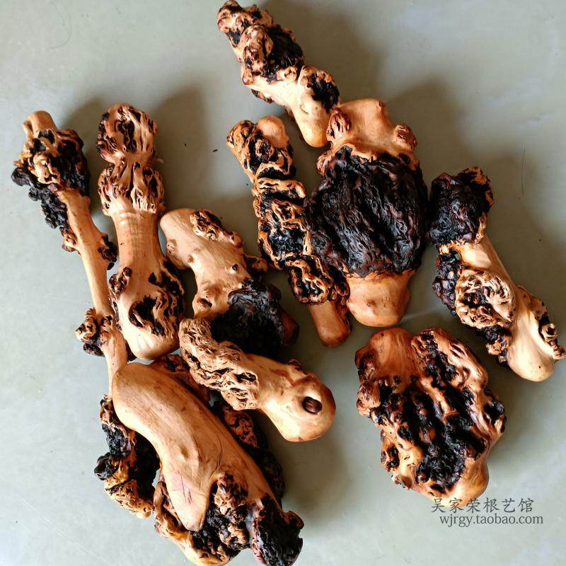 云南黑果木树瘤手把件天然疙瘩长寿木按摩文玩收藏把玩山茶木树根