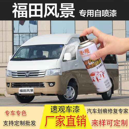 车漆风景修复香槟金补笔福