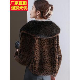 水貂绒皮草大衣大翻领超短款豹纹外套女开衫宽松羊毛衫小披肩洋气
